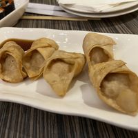 Kevin’s vegan dumplings  at Kogi Bar & Grill in Plymouth