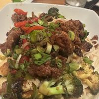 Beef noodles  at O'cado in Sherman Oaks