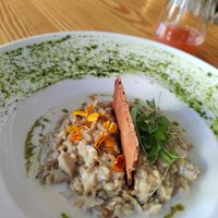 Oatmeal risotto - Unbelievably tasty but It's a small portion at Orteá - Vegan Collective in Lisbon