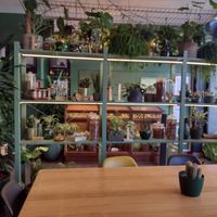 Lots of gorgeous plants within the restaurant at Orteá - Vegan Collective in Lisbon