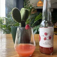 House kombucha  at Orteá - Vegan Collective in Lisbon
