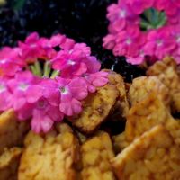 The tempeh is always so good 👍 at Orteá - Vegan Collective in Lisbon