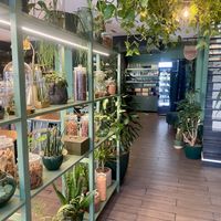The place   at Orteá - Vegan Collective in Lisbon