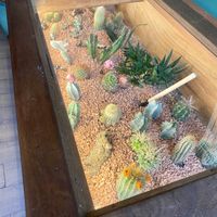 Decoration   at Orteá - Vegan Collective in Lisbon