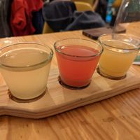 Kombucha flight at Orteá - Vegan Collective in Lisbon