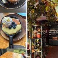 “Theres beauty in everything” passion fruit dessert, “wonderlu” blueberry lemoncurd pancakes and “gema” mushroom cashew cream bruschetta   at Orteá - Vegan Collective in Lisbon