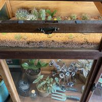   at Orteá - Vegan Collective in Lisbon