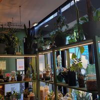  at Orteá - Vegan Collective in Lisbon