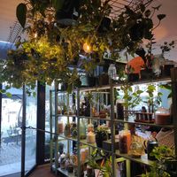  at Orteá - Vegan Collective in Lisbon