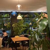 Room full of plants  at Orteá - Vegan Collective in Lisbon