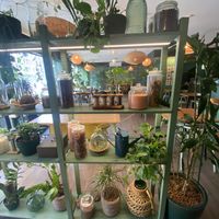   at Orteá - Vegan Collective in Lisbon