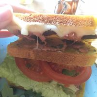 Sandwich close up, cheese was amazing! at Orteá - Vegan Collective in Lisbon