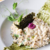 Kind of rissoto, but better! at Orteá - Vegan Collective in Lisbon