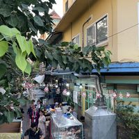 Atmosphäre  #Veganuary at The Family Restaurant in Bangkok