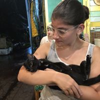 Kitty kitty  at The Family Restaurant in Bangkok