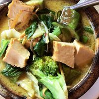 Vegan Green Curry - spicy and so tasty ! at The Family Restaurant in Bangkok