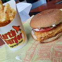 Fishless sandwich! at Earth Burger in Bloomington