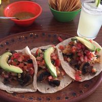 Vegan mushroom tacos at Alma y Manny  in Todos Santos