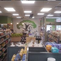 The tree sticks out so nicely! at The Green Root in Belleville