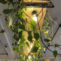 Light fittings  at Bean and Bread in Abergavenny