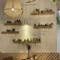  Cuttings walls  at Bean and Bread in Abergavenny