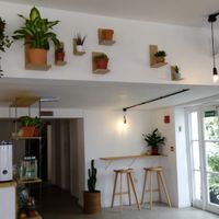 Light, airy interior with cactus theme at Bean and Bread in Abergavenny