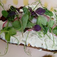 Sourdough toast with vegan cream cheese, radish and microgreens. at Bean and Bread in Abergavenny