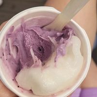  at Veganista Ice Cream VI in Vienna