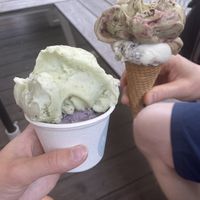   at Veganista Ice Cream VI in Vienna