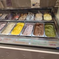  at Veganista Ice Cream VI in Vienna