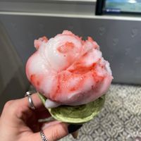   at Veganista Ice Cream VI in Vienna