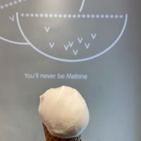   at Veganista Ice Cream VI in Vienna