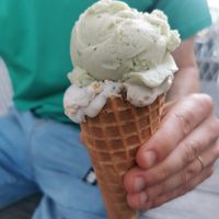  at Veganista Ice Cream VI in Vienna