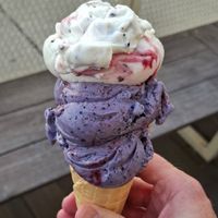  at Veganista Ice Cream VI in Vienna