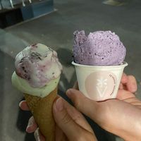 Basil/Black Forest and Blueberry-Lavender at Veganista Ice Cream VI in Vienna