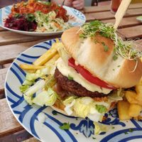 Burger z frytkami i gulasz węgierski z plackami ziemniaczanymi at Vegan Spot in Elblag
