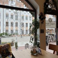   at Vegan Spot in Elblag