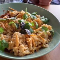 Mac and vegan cheese at Vegan Spot in Elblag