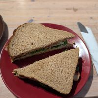 Vlt at Redwing Gallery in Penzance