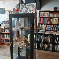  at Redwing Gallery in Penzance