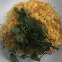 Sweet potato risotto  at The Bells of Peover in Lower Peover