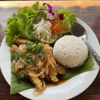 Fried tofu with sesame sauce and ricee  at Freshtime in Chiang Mai