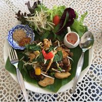 Yummy stir-fried noodles and veg at Freshtime in Chiang Mai