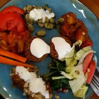 Vegan tasting of all veggie dishes + falafel at Syrisch Eethuis Moushmoush in Arnhem