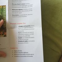 Menu at Veg Point in Tenna