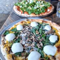 Las vega and alpha beta vega at Otomat in Bruges