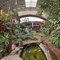  at Oh My Gulay in Baguio City