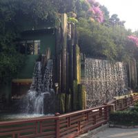 12 at Chi Lin Vegetarian in Kowloon