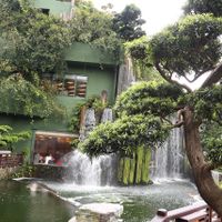 The waterfall above the restaurant  at Chi Lin Vegetarian in Kowloon