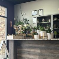 Happy plants when you walk in!  at House of Mexica in Reno